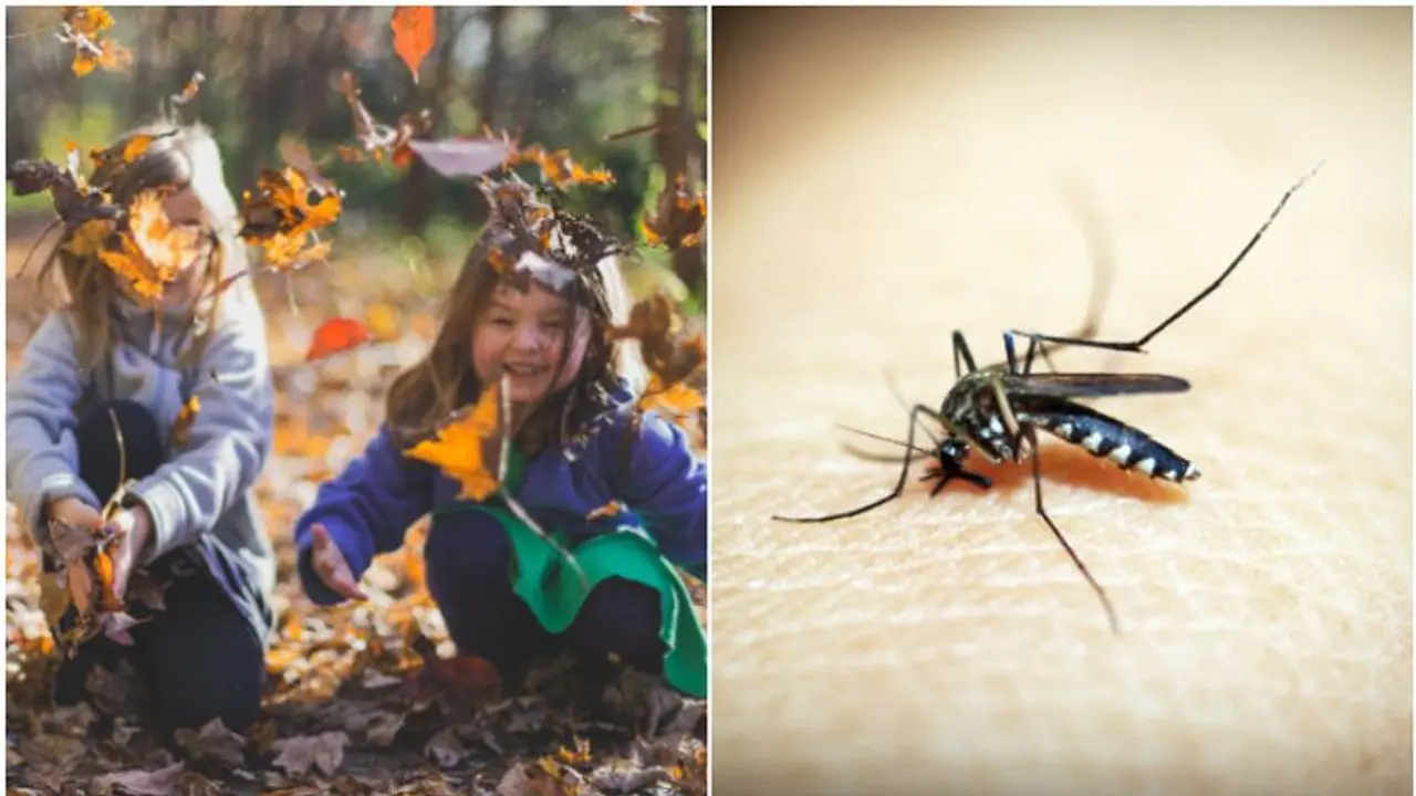 6 ways to Safeguard Children from Mosquitoes during Outdoor adventures 6 ways to Safeguard Children from Mosquitoes during Outdoor adventures