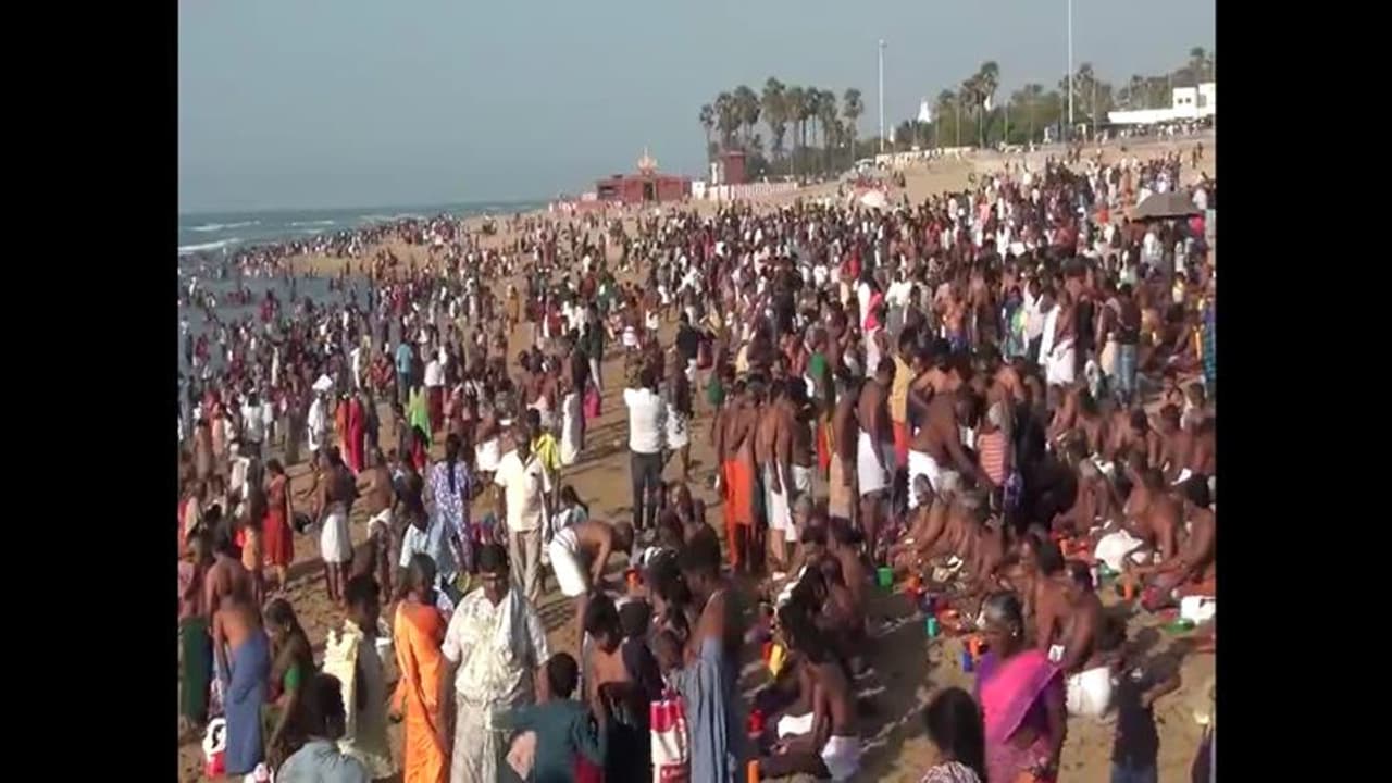 ஆடி அமாவாசை; முன்னோர்களுக்கு தர்ப்பணம் கொடுக்க திருச்செந்தூர் கடற்கரையில் குவிந்த பக்தர்கள் ஆடி அமாவாசை; முன்னோர்களுக்கு தர்ப்பணம் கொடுக்க திருச்செந்தூர் கடற்கரையில் குவிந்த பக்தர்கள்