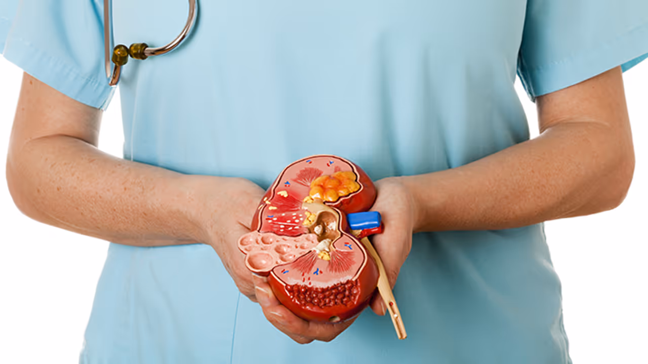 Health Tips : വൃക്കകളെ ആരോ​ഗ്യകരമായി നിലനിർത്താൻ എട്ട് കാര്യങ്ങൾ ശ്രദ്ധിക്കാം 