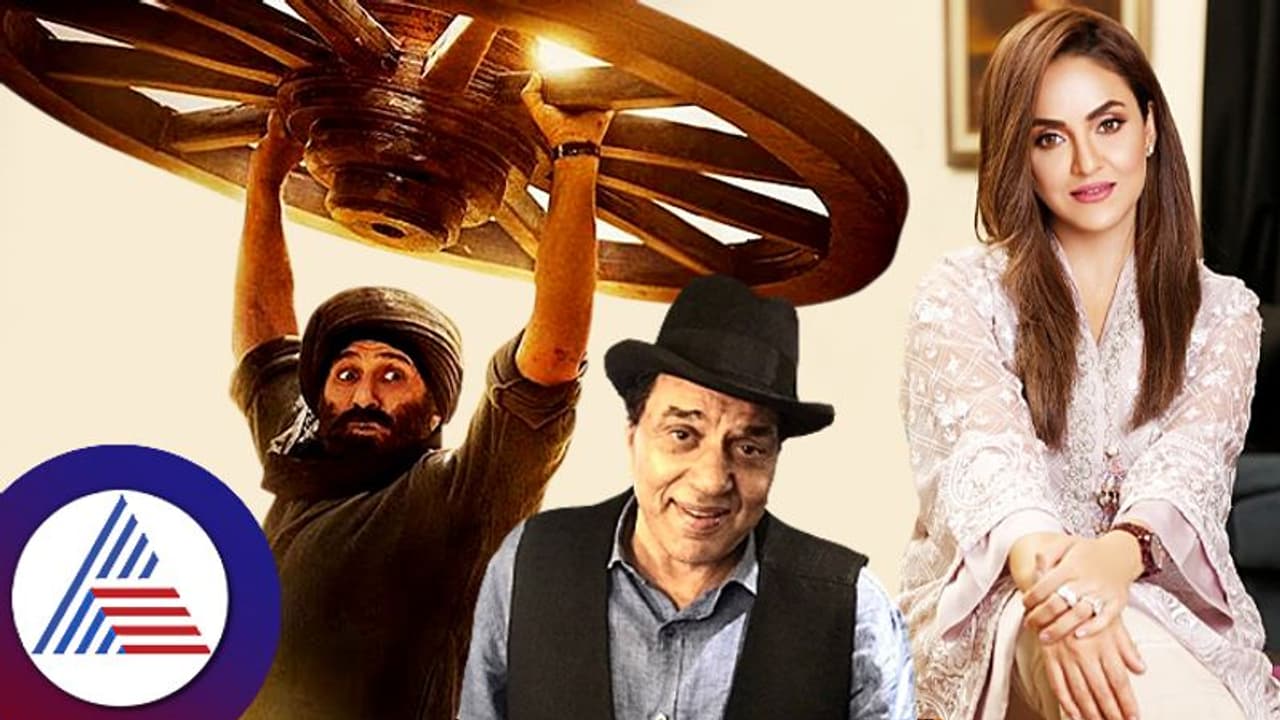  ಪಾಕ್​ ವಿರೋಧಿಸಲು ಧರ್ಮೇಂದ್ರ ಸನ್ನಿಗೂ ಇಷ್ಟವಿಲ್ವಂತೆ: ಪಾಕ್ ನಟಿಯಿಂದಲೇ ಬಹಿರಂಗ