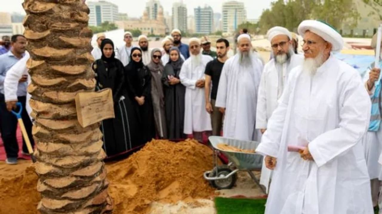 దుబాయ్ లో దేశీయ ఖర్జూర సాగు.. దుబాయ్ లో దేశీయ ఖర్జూర సాగు..