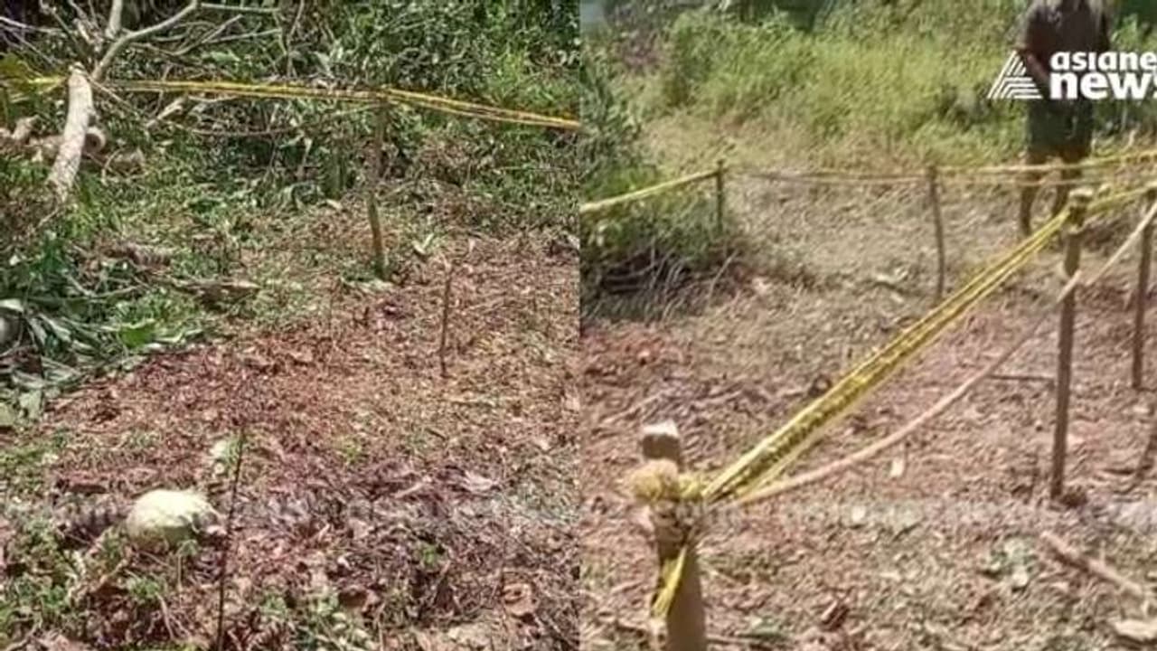 തലയോട്ടി കണ്ടെത്തി! എറണാകുളം മെഡിക്കൽ കോളേജിന് സമീപത്ത് പൊലീസ് പരിശോധന തലയോട്ടി കണ്ടെത്തി! എറണാകുളം മെഡിക്കൽ കോളേജിന് സമീപത്ത് പൊലീസ് പരിശോധന