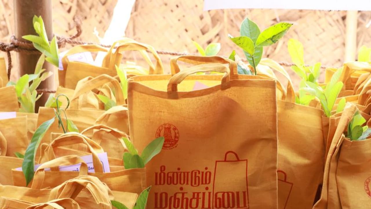 சொரிமுத்து ஐயனார் கோயில் பக்தர்களுக்கு பிரசாதத்துடன் மஞ்சப்பையில் விதைப்பந்து, மரக்கன்றுகள் விநியோகம்