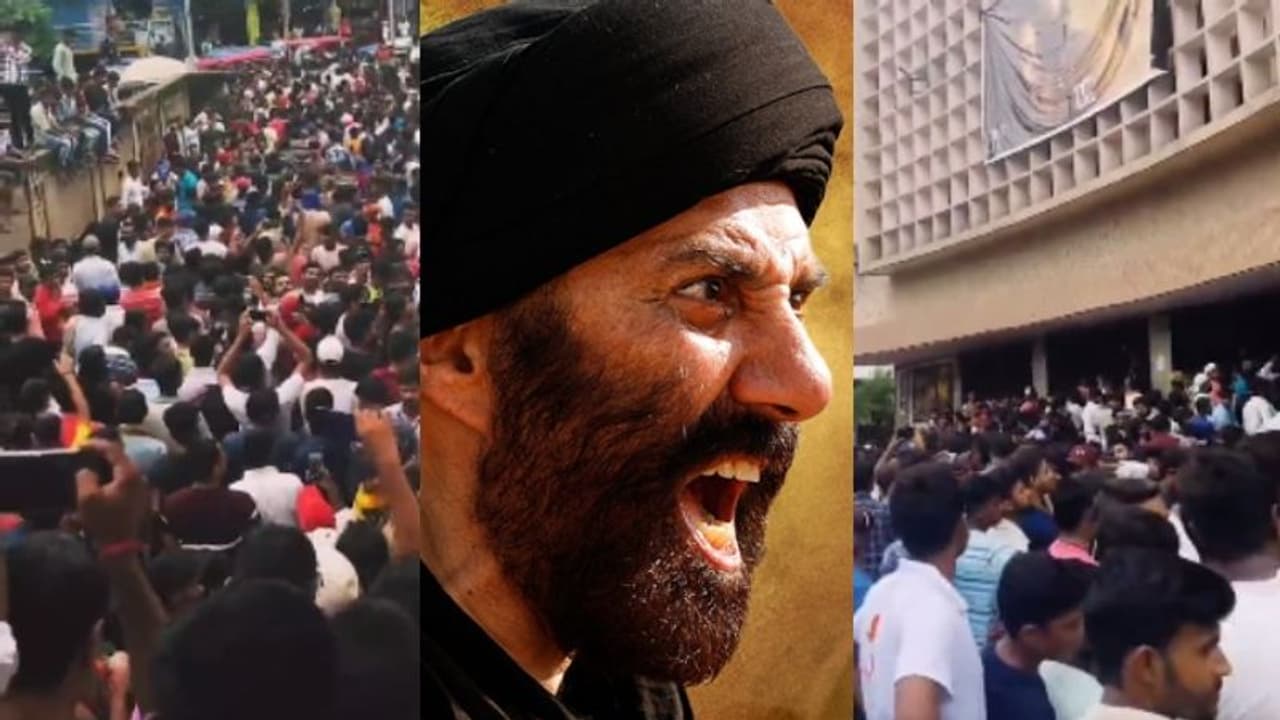 ഉത്തരേന്ത്യന് സിംഗിള് സ്ക്രീനുകള് ജനസമുദ്രം; 'ഗദര് 2' ആറ് ദിവസം കൊണ്ട് നേടിയത് ഉത്തരേന്ത്യന് സിംഗിള് സ്ക്രീനുകള് ജനസമുദ്രം; 'ഗദര് 2' ആറ് ദിവസം കൊണ്ട് നേടിയത്