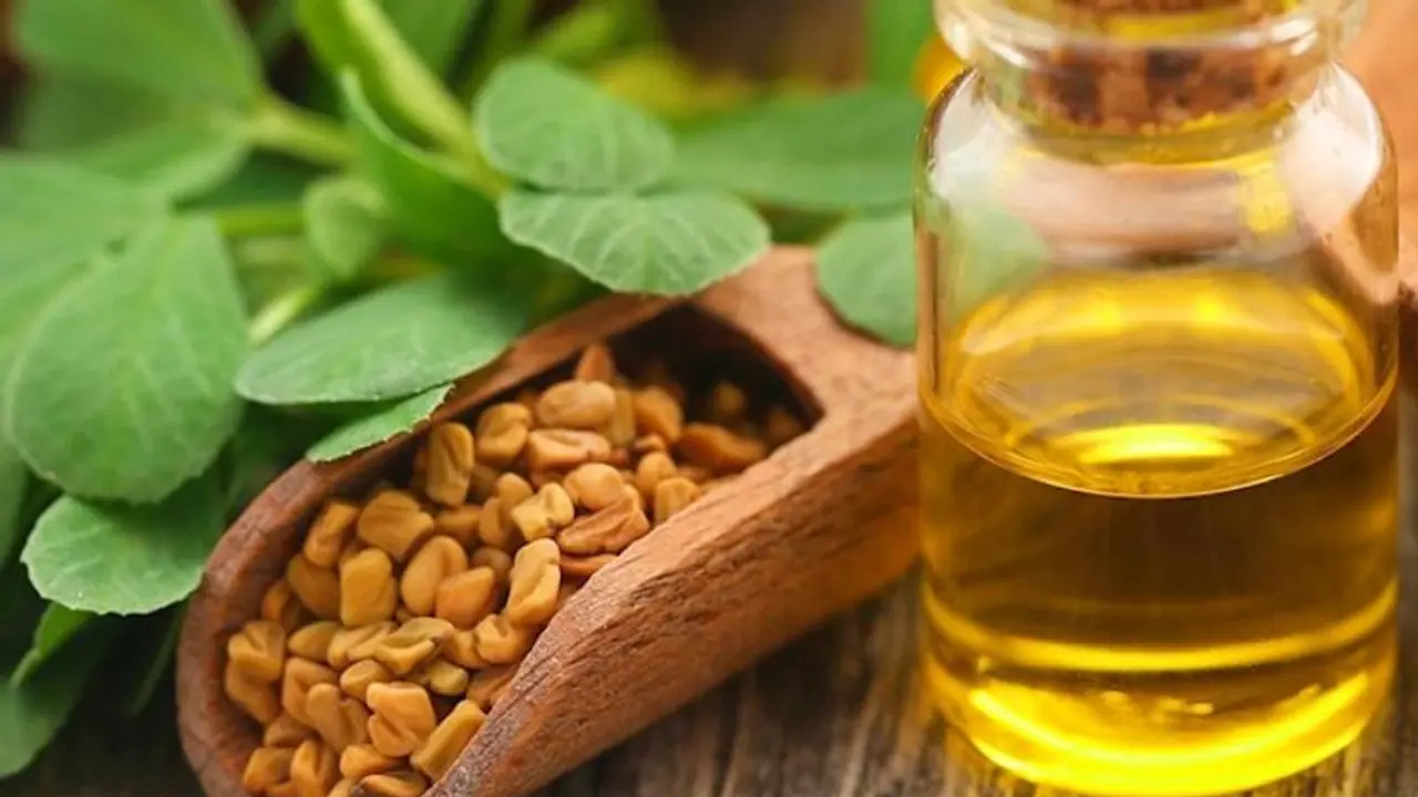 5 incredible Skin benefits of using Fenugreek Oil 5 incredible Skin benefits of using Fenugreek Oil