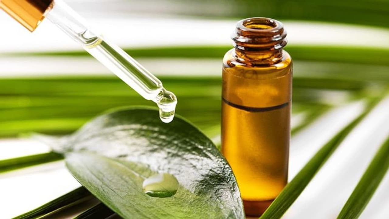 Hair Routine: 5 ways why Tea Tree Oil is beneficial 