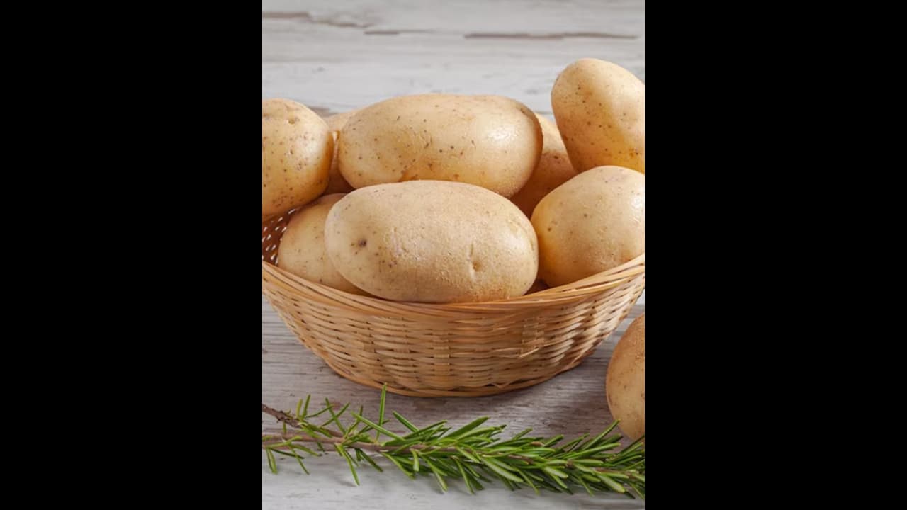National Potato Day 2023 : ഉരുളക്കിഴങ്ങിന്റെ ആരോഗ്യഗുണങ്ങൾ എന്തൊക്കെ? National Potato Day 2023 : ഉരുളക്കിഴങ്ങിന്റെ ആരോഗ്യഗുണങ്ങൾ എന്തൊക്കെ?
