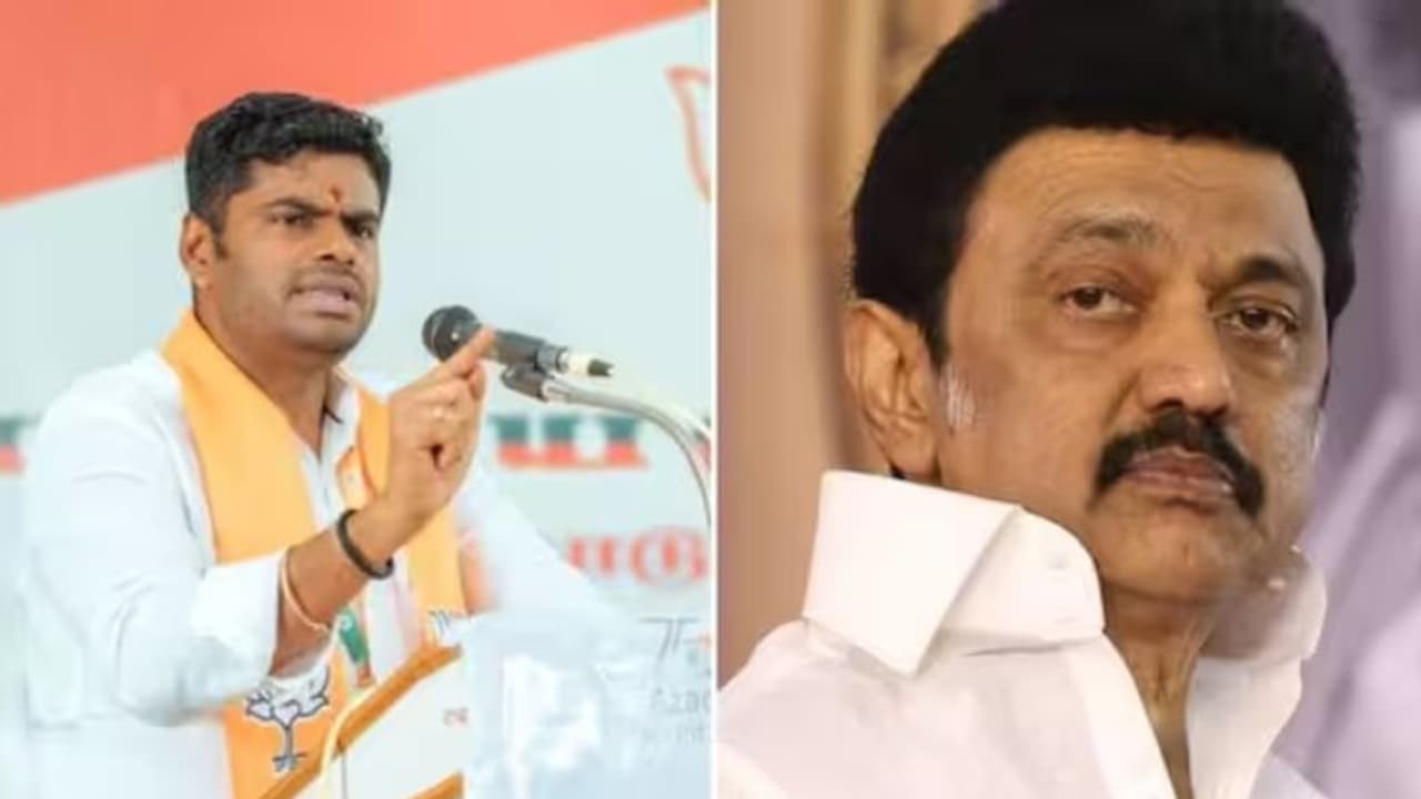 பாஜக கூட்டணிக்கு தமிழகத்தில் எத்தனை இடங்களில் வெற்றி தெரியுமா? சுட சுட வெளியான லோக் சபா சர்வே!