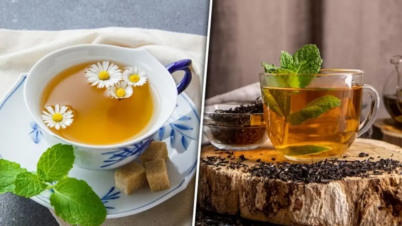 Green Tea Vs Herbal Tea: What's the difference? Know their health benefits Green Tea Vs Herbal Tea: What's the difference? Know their health benefits