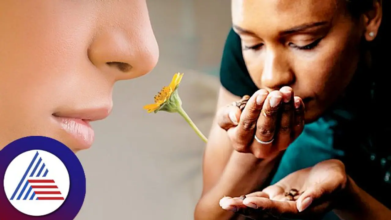 Health Tips: ಮೂಗಿಗೆ ವಾಸನೆ ಬರ್ತಿಲ್ಲ ಅಂತಾ ಸುಮ್ನಿರಬೇಡಿ.. ಅಪಾಯವಾಗ್ಬಹುದು! 
