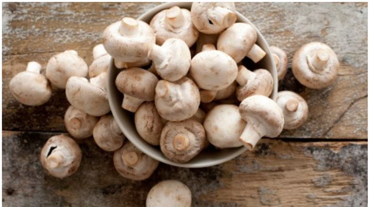Skin friendly vegetables: 5 incredible benefits of Mushroom Skin friendly vegetables: 5 incredible benefits of Mushroom