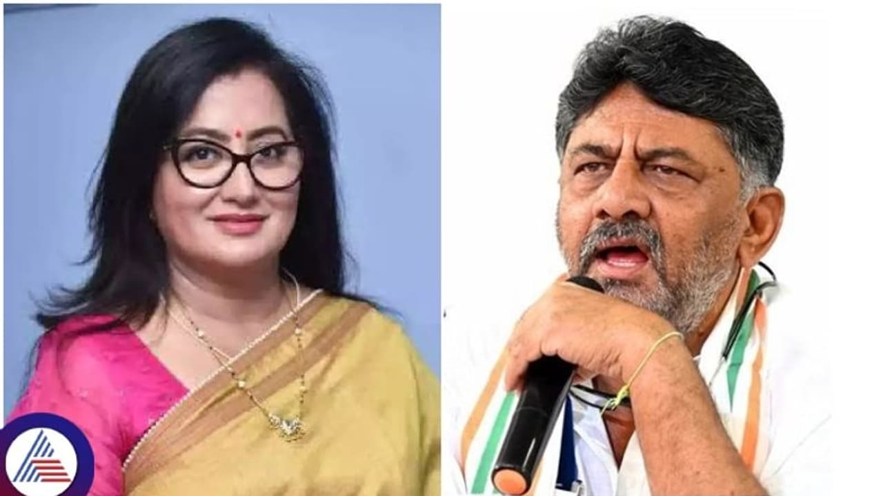 ರಾಜಕೀಯ ನನಗೆ ಅನಿವಾರ್ಯವಲ್ಲ, ಆಕಸ್ಮಿಕ: ಲೋಕಸಭೆಗೂ ಮುನ್ನ ಟ್ವಿಸ್ಟ್‌ ಕೊಟ್ಟ ಸುಮಲತಾ ಅಂಬರೀಶ್‌