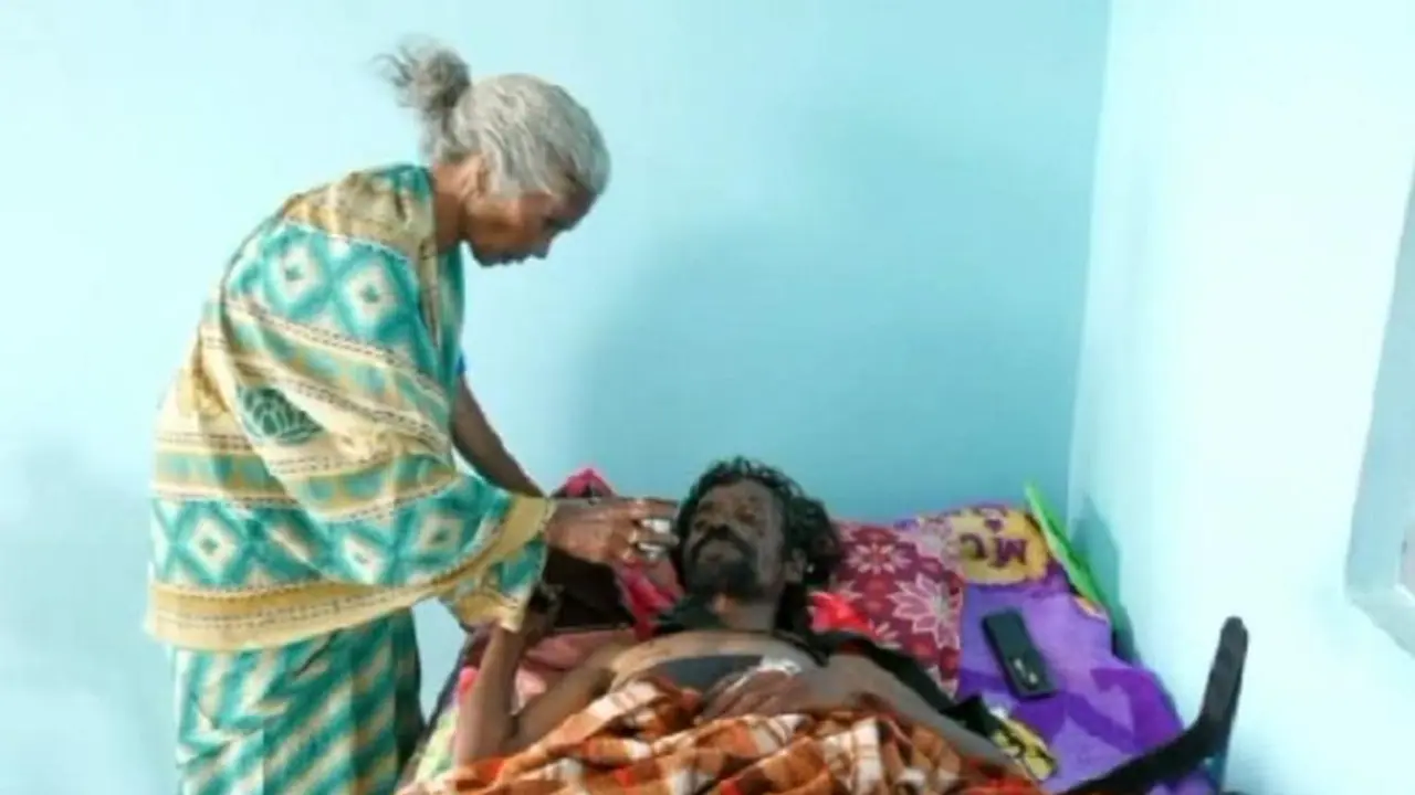 Wild elephant attacks man near Bandipur, Forest officials allegedly refuse to lodge complaint