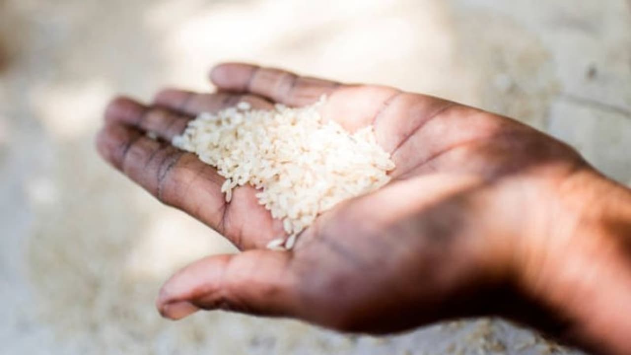 ചോറ് തയ്യാറാക്കാൻ മാത്രമല്ല അരി, ഇതാ അരി കൊണ്ടുള്ള മറ്റ് ചില ഉപയോഗങ്ങള്‍...
