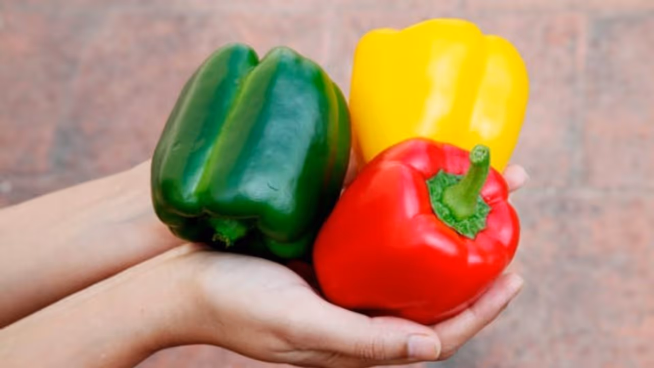 കാപ്‌സിക്കത്തിന്റെ ആരോ​ഗ്യ​ഗുണങ്ങൾ അറിയാതെ പോകരുത് 