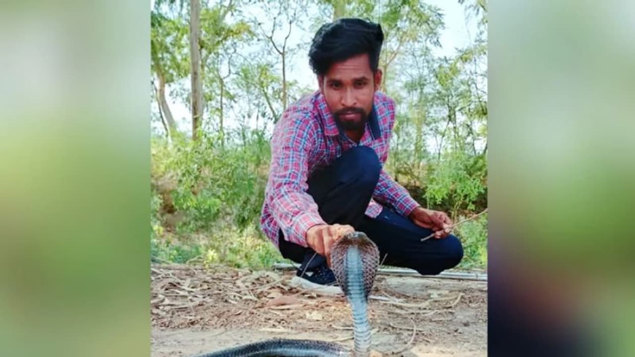 5,600 പാമ്പുകളെ പിടികൂടി, പത്ത് തവണ പാമ്പുകടിയേറ്റു; ഇദ്ദേഹത്തിനിത് ജീവിതം തന്നെ! 5,600 പാമ്പുകളെ പിടികൂടി, പത്ത് തവണ പാമ്പുകടിയേറ്റു; ഇദ്ദേഹത്തിനിത് ജീവിതം തന്നെ!