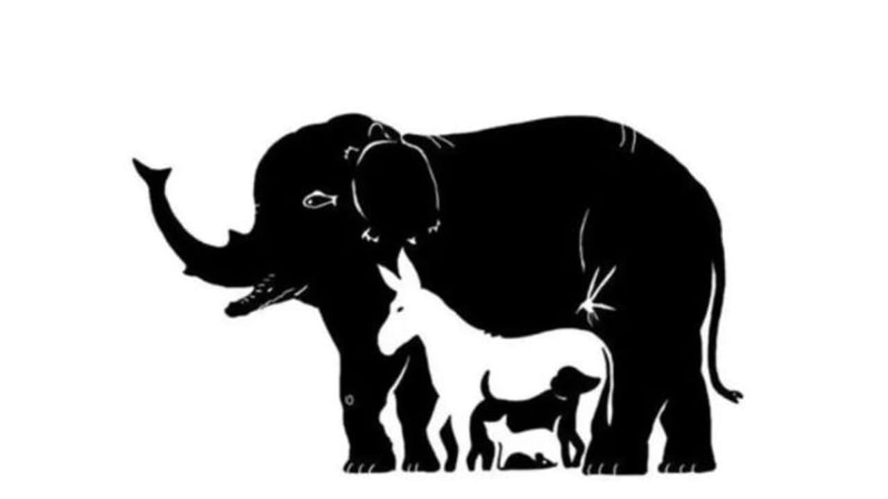 இந்த படத்தில் மறைந்திருக்கும் 13 விலங்குகளை கண்டுபிடிக்க முடியுமா.? முடிஞ்சா கண்டுபிடிங்க !!