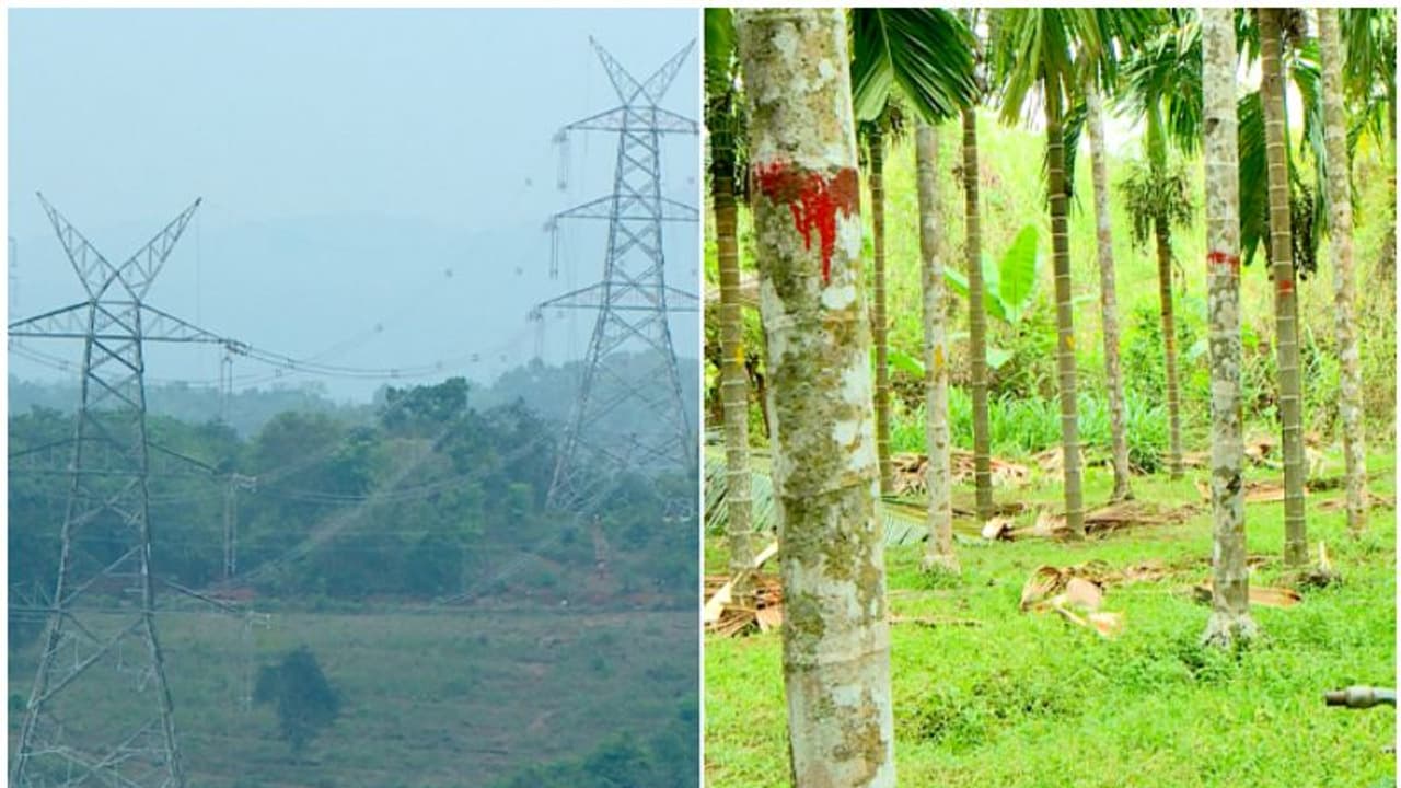 400 കെ വി വൈദ്യുത ലൈൻ: താഴെയുള്ള വിളകള്ക്കും ഭൂമിക്കും മാന്യമായ നഷ്ടപരിഹാരം വേണം, കർഷക പ്രതിഷേധം ശക്തം 400 കെ വി വൈദ്യുത ലൈൻ: താഴെയുള്ള വിളകള്ക്കും ഭൂമിക്കും മാന്യമായ നഷ്ടപരിഹാരം വേണം, കർഷക പ്രതിഷേധം ശക്തം