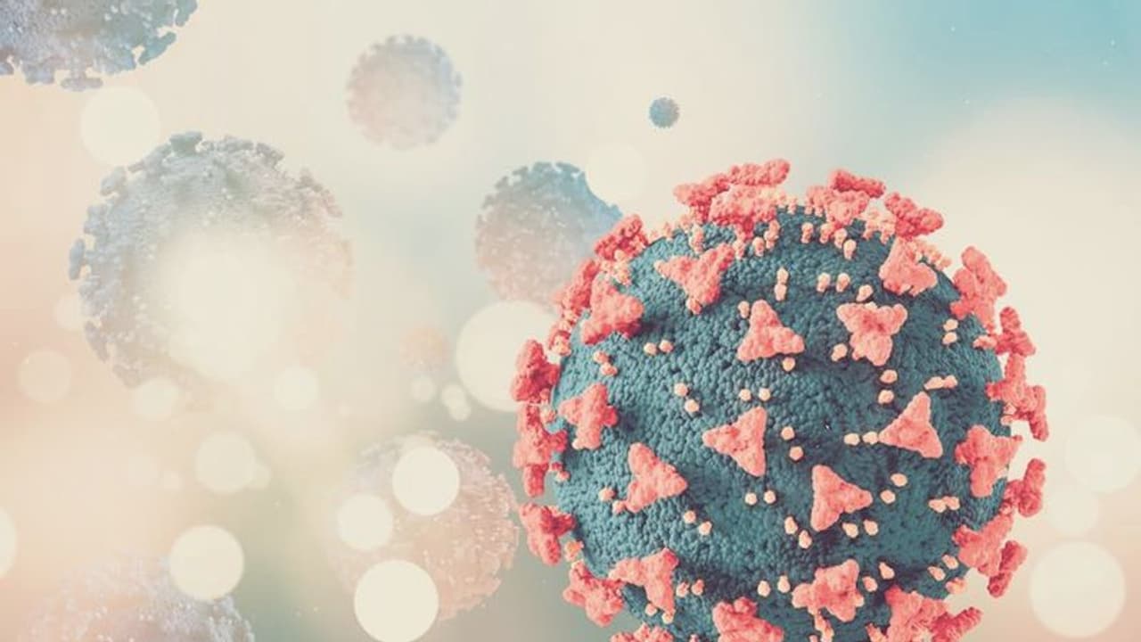சீனாவிலும் புதிய கோவிட் மாறுபாடு இருப்பது உறுதி.. அறிகுறிகள் என்ன? இந்தியா கவலைப்பட வேண்டுமா? சீனாவிலும் புதிய கோவிட் மாறுபாடு இருப்பது உறுதி.. அறிகுறிகள் என்ன? இந்தியா கவலைப்பட வேண்டுமா?
