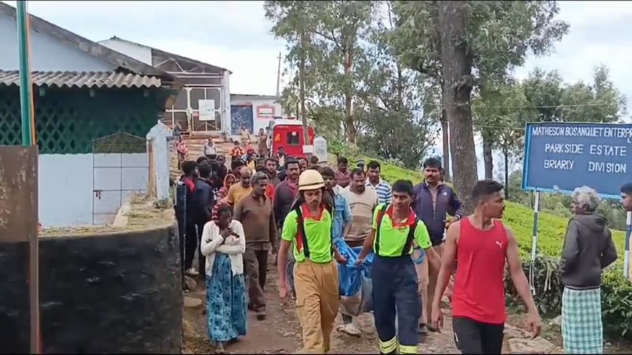 நீலகிரியில் பள்ளத்தில் விழுந்த மாணவனை அப்படியே விட்டுச்சென்ற நண்பர்கள்; உடலை கைப்பற்றி விசாரணை