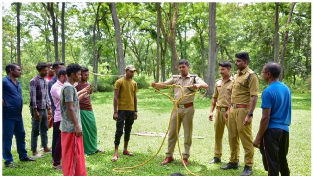 വനാന്തരങ്ങളിലെ പ്രക്തന ഗോത്രങ്ങളുടെ തേന് ശേഖരണം ഇനി പ്രഫഷണല് രീതിയില്; സഹായവുമായി സര്ക്കാര് വനാന്തരങ്ങളിലെ പ്രക്തന ഗോത്രങ്ങളുടെ തേന് ശേഖരണം ഇനി പ്രഫഷണല് രീതിയില്; സഹായവുമായി സര്ക്കാര്