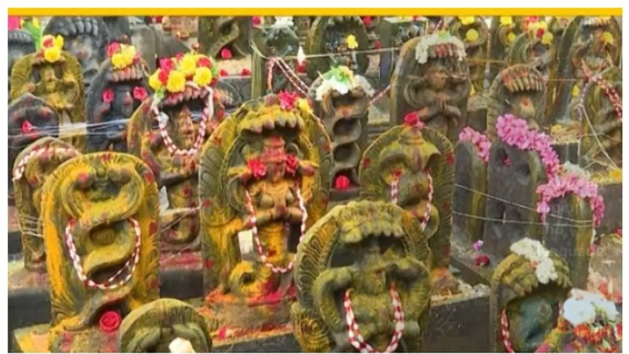 ನಾಗರ ಪಂಚಮಿ ಆಚರಿಸುತ್ತಲೇ ಪ್ರಾಣ ಕಳೆದುಕೊಂಡ ಮೂವರು ಬಾಲಕಿಯರು, ಪೋಷಕರು ಕಂಗಾಲು!