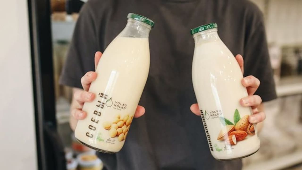 ఆవు, గేదె పాలు vs ప్లాంట్ బేస్ట్ మిల్స్ ... ఏది తాగితే హెల్త్ కు మంచిదో తెలుసా? ఆవు, గేదె పాలు vs ప్లాంట్ బేస్ట్ మిల్స్ ... ఏది తాగితే హెల్త్ కు మంచిదో తెలుసా?