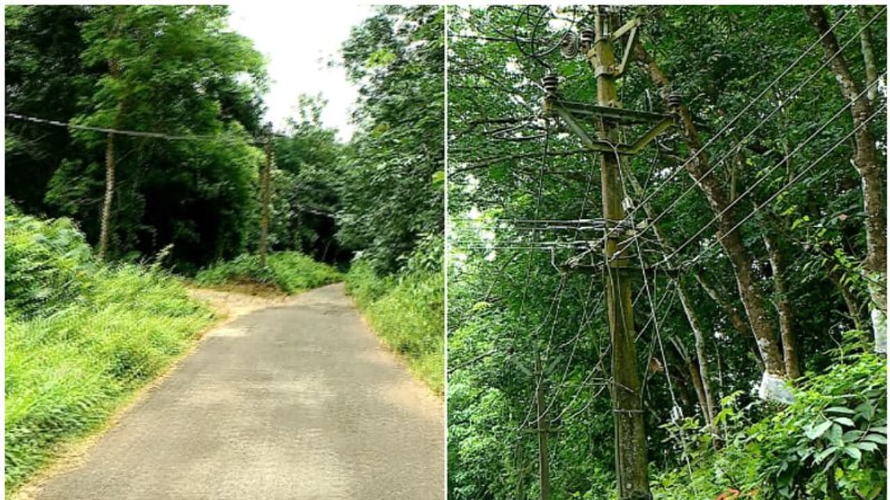40 വർഷമായി ഇരുട്ടിൽ, ആലത്തൂർ എംപി ഹൈമാസ് ലൈറ്റ് അനുവദിച്ചു; സിപിഎം ഭരിക്കുന്ന പഞ്ചായത്ത് തടസമെന്ന് പരാതി