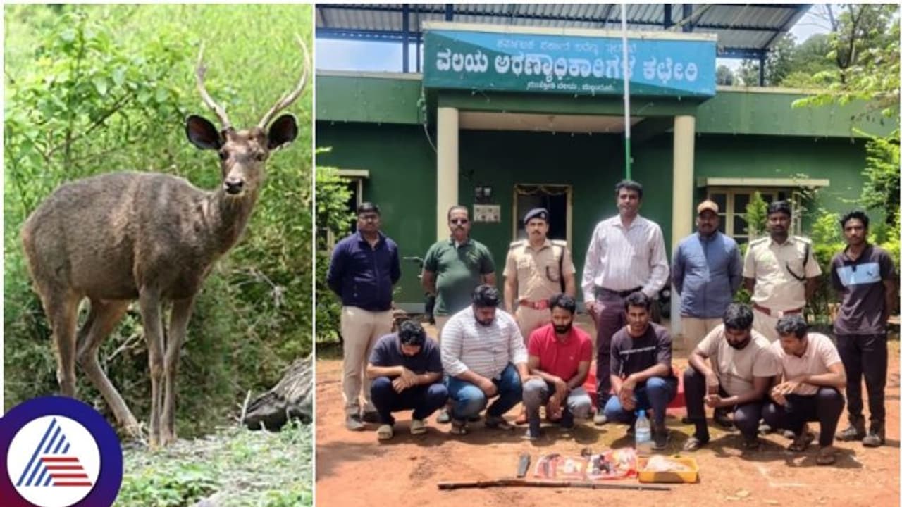 ಕಾಡು ರಕ್ಷಿಸುತ್ತೇವೆಂದು ಬಂದ ಎನ್‌ಜಿಒ ಸದಸ್ಯರೇ ಕಡವೆ ಬೇಟೆಯಾಡಿ ಮಾಂಸ ತಿಂದ್ರು