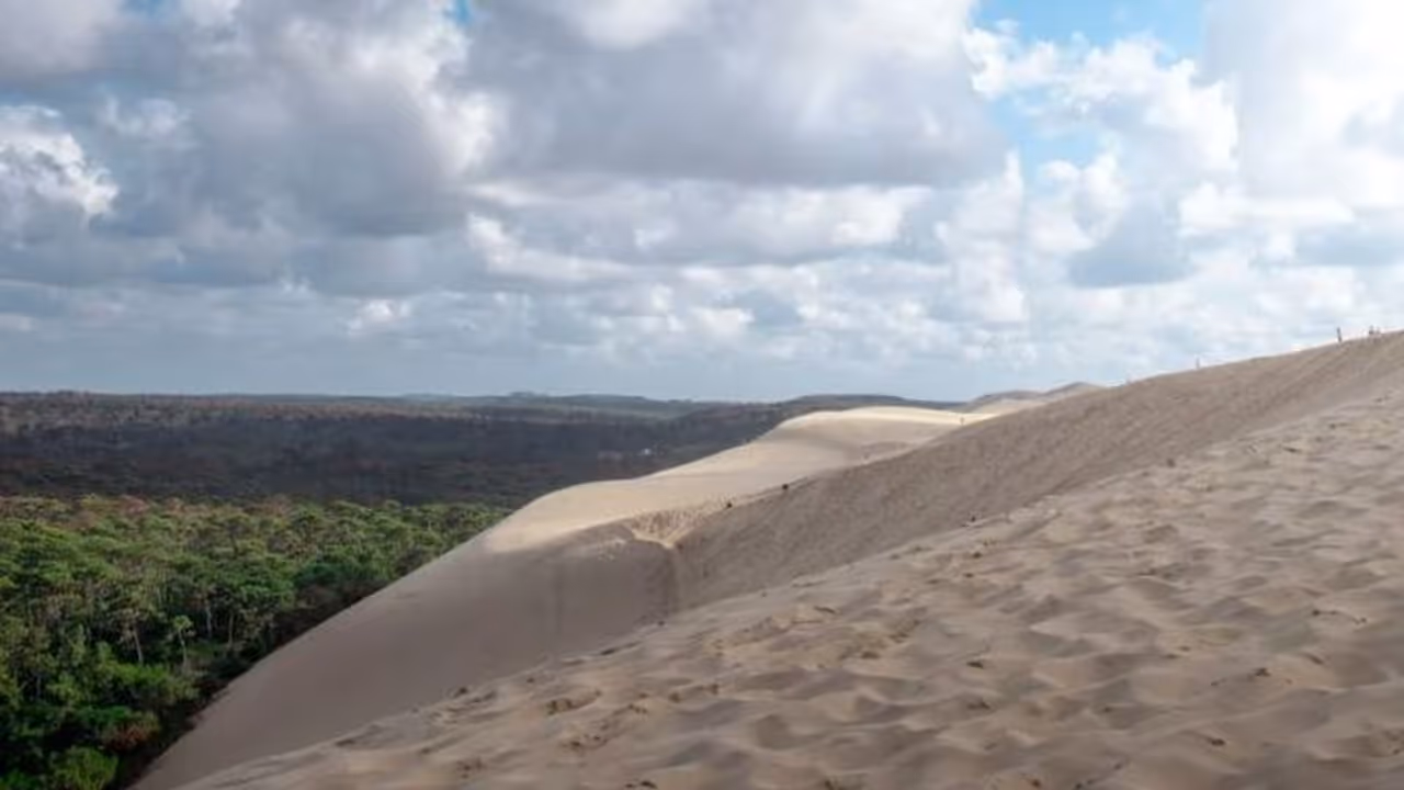 Saudi Arabia is now harnessing AI to combat desertification Saudi Arabia is now harnessing AI to combat desertification