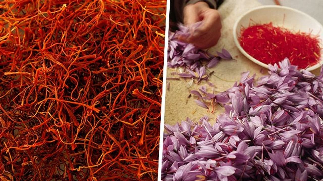 The Golden Elixir: 7 Remarkable skin benefits of Saffron The Golden Elixir: 7 Remarkable skin benefits of Saffron