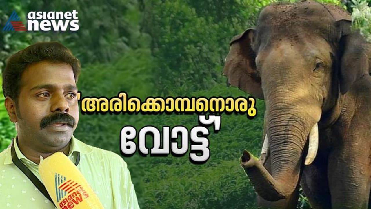 'അരിക്കൊമ്പന് ഒരോട്ട്', തിരിച്ചെത്തിക്കാൻ പുതുപ്പള്ളിയിൽ സ്ഥാനാർത്ഥി, ചിഹ്നത്തിൽ വരെ സർപ്രൈസ് 'അരിക്കൊമ്പന് ഒരോട്ട്', തിരിച്ചെത്തിക്കാൻ പുതുപ്പള്ളിയിൽ സ്ഥാനാർത്ഥി, ചിഹ്നത്തിൽ വരെ സർപ്രൈസ്