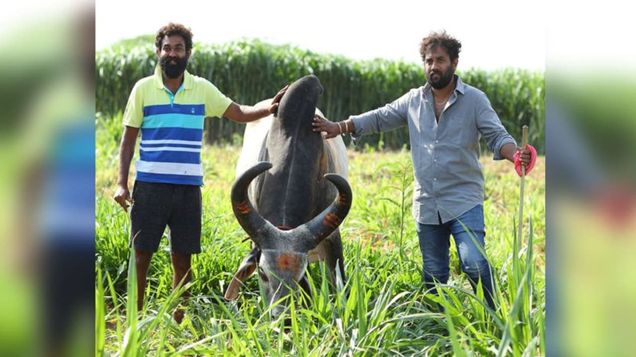 బ్యాంక్ జాబ్ వదిలేసి మరీ రైతయ్యాడు.. వేల మందికి ఉపాధి.. కోట్ల సంపాదన బ్యాంక్ జాబ్ వదిలేసి మరీ రైతయ్యాడు.. వేల మందికి ఉపాధి.. కోట్ల సంపాదన