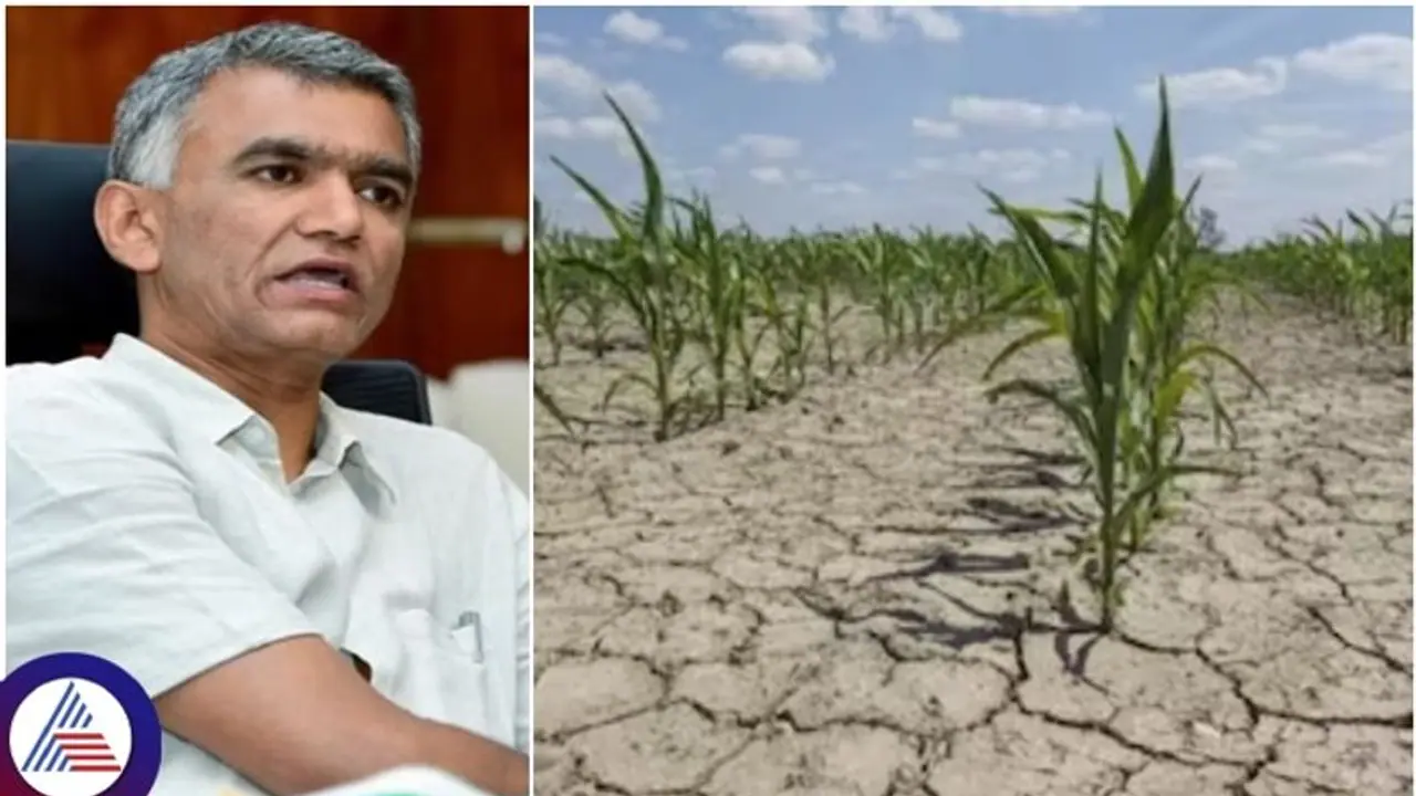 ಬರಪೀಡಿತ 195 ತಾಲ್ಲೂಕುಳಿಗೆ ಹೆಚ್ಚುವರಿ 32 ಸೇರ್ಪಡೆಗೆ ಸಿದ್ಧತೆ: ಸಚಿವ ಕೃಷ್ಣ ಬೈರೇಗೌಡ ಮಾಹಿತಿ ಬರಪೀಡಿತ 195 ತಾಲ್ಲೂಕುಳಿಗೆ ಹೆಚ್ಚುವರಿ 32 ಸೇರ್ಪಡೆಗೆ ಸಿದ್ಧತೆ: ಸಚಿವ ಕೃಷ್ಣ ಬೈರೇಗೌಡ ಮಾಹಿತಿ