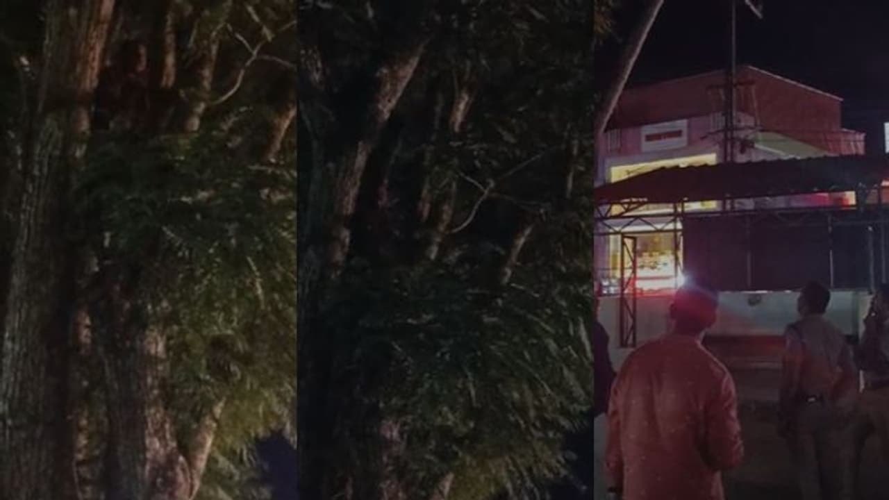 'ഒരു ബിയറും ഒരു പെഗ്ഗും കഴിച്ച എന്നോട് ഇത് വേണോ ?'; ബൈക്ക് പിടിച്ചെടുത്തതിന് യുവാവിന്റെ ആത്മഹത്യാ ഭീഷണി 'ഒരു ബിയറും ഒരു പെഗ്ഗും കഴിച്ച എന്നോട് ഇത് വേണോ ?'; ബൈക്ക് പിടിച്ചെടുത്തതിന് യുവാവിന്റെ ആത്മഹത്യാ ഭീഷണി