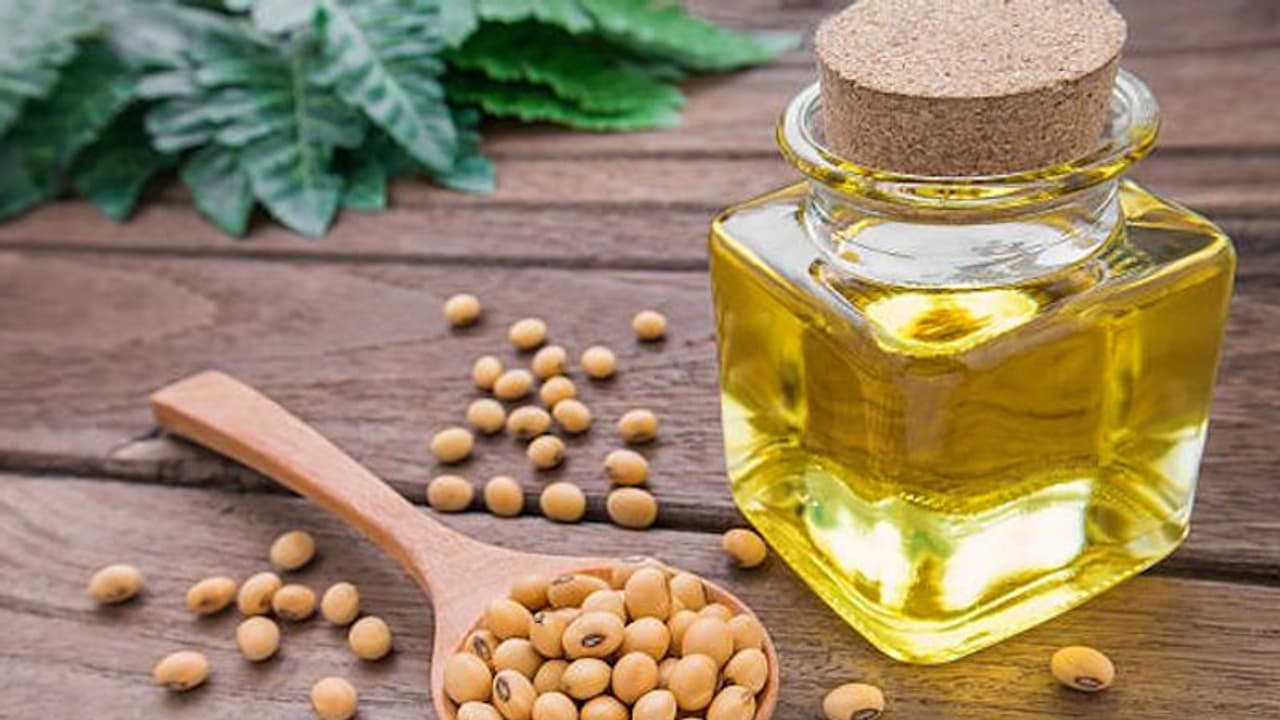 Skincare routine: 5 exciting ways in which Soybean Oil is a boon