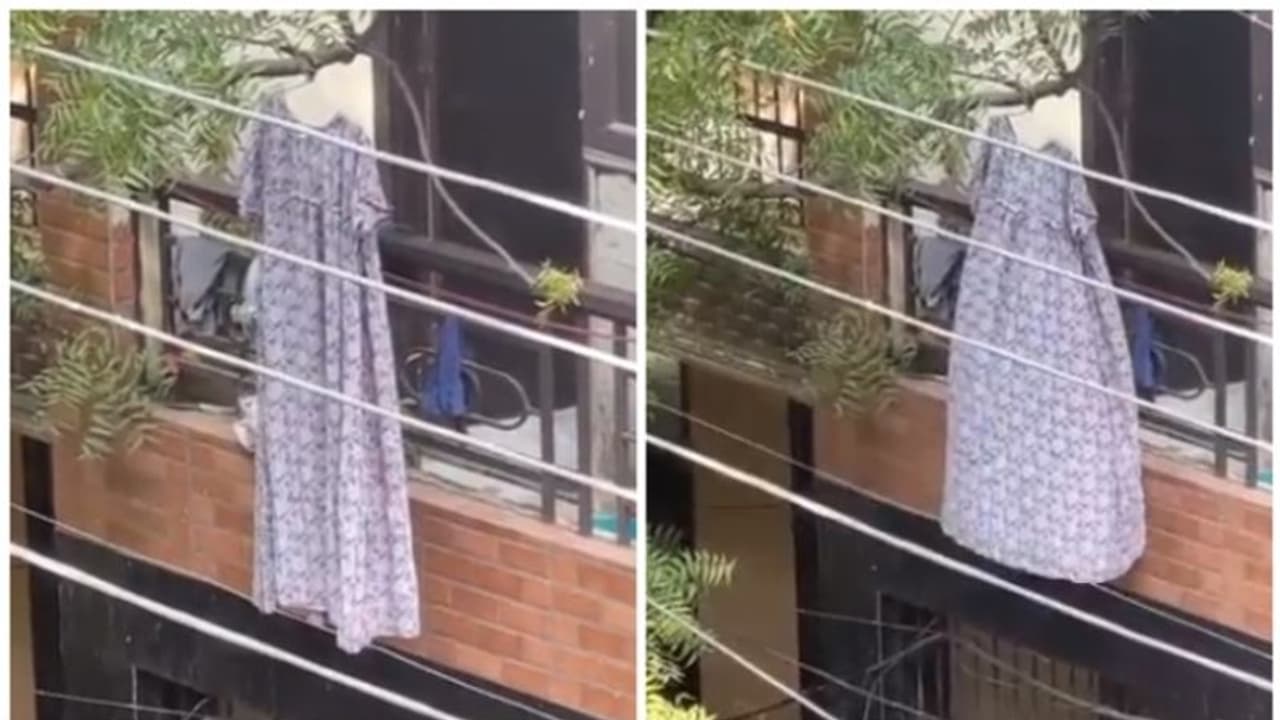 അര്ദ്ധരാത്രിയില് ഭയപ്പെടുത്തിയ പ്രേതരൂപം പകല് വെളിച്ചെത്തില് 'നൈറ്റി'; വൈറലായി ഒരു വീഡിയോ! അര്ദ്ധരാത്രിയില് ഭയപ്പെടുത്തിയ പ്രേതരൂപം പകല് വെളിച്ചെത്തില് 'നൈറ്റി'; വൈറലായി ഒരു വീഡിയോ!