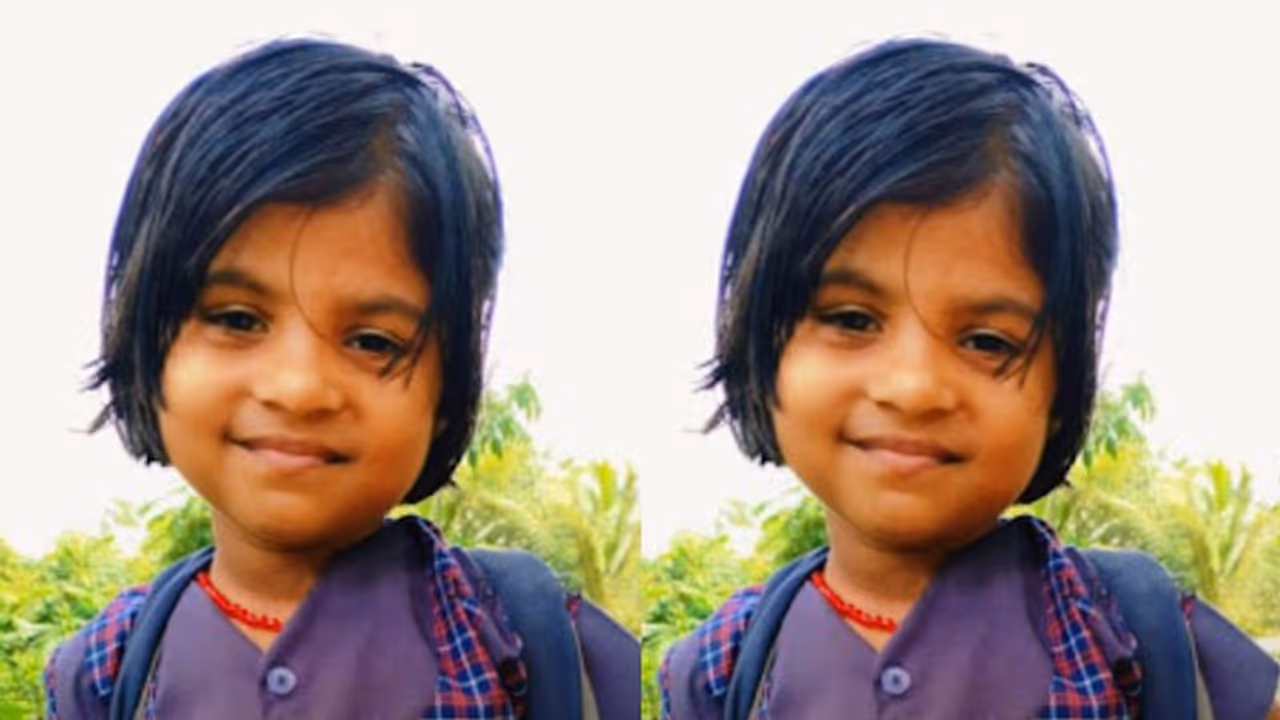 പണിക്കായി അടുക്കി വച്ച കല്ലില് കയറാന് ശ്രമം, കല്ലിളകി വീണ് 4 വയസുകാരിക്ക് ദാരുണാന്ത്യം പണിക്കായി അടുക്കി വച്ച കല്ലില് കയറാന് ശ്രമം, കല്ലിളകി വീണ് 4 വയസുകാരിക്ക് ദാരുണാന്ത്യം