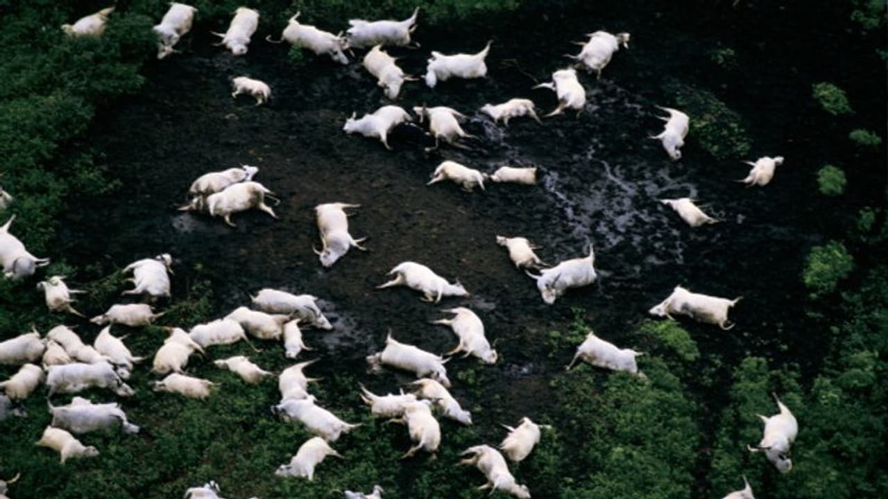 രാത്രി ഉറങ്ങി എഴുന്നേറ്റപ്പോള് ഗ്രാമത്തിലെ ജീവനുകളെ തുടച്ച് നീക്കിയ ആ ദുരന്തത്തിന് 37 വയസ് ! രാത്രി ഉറങ്ങി എഴുന്നേറ്റപ്പോള് ഗ്രാമത്തിലെ ജീവനുകളെ തുടച്ച് നീക്കിയ ആ ദുരന്തത്തിന് 37 വയസ് !