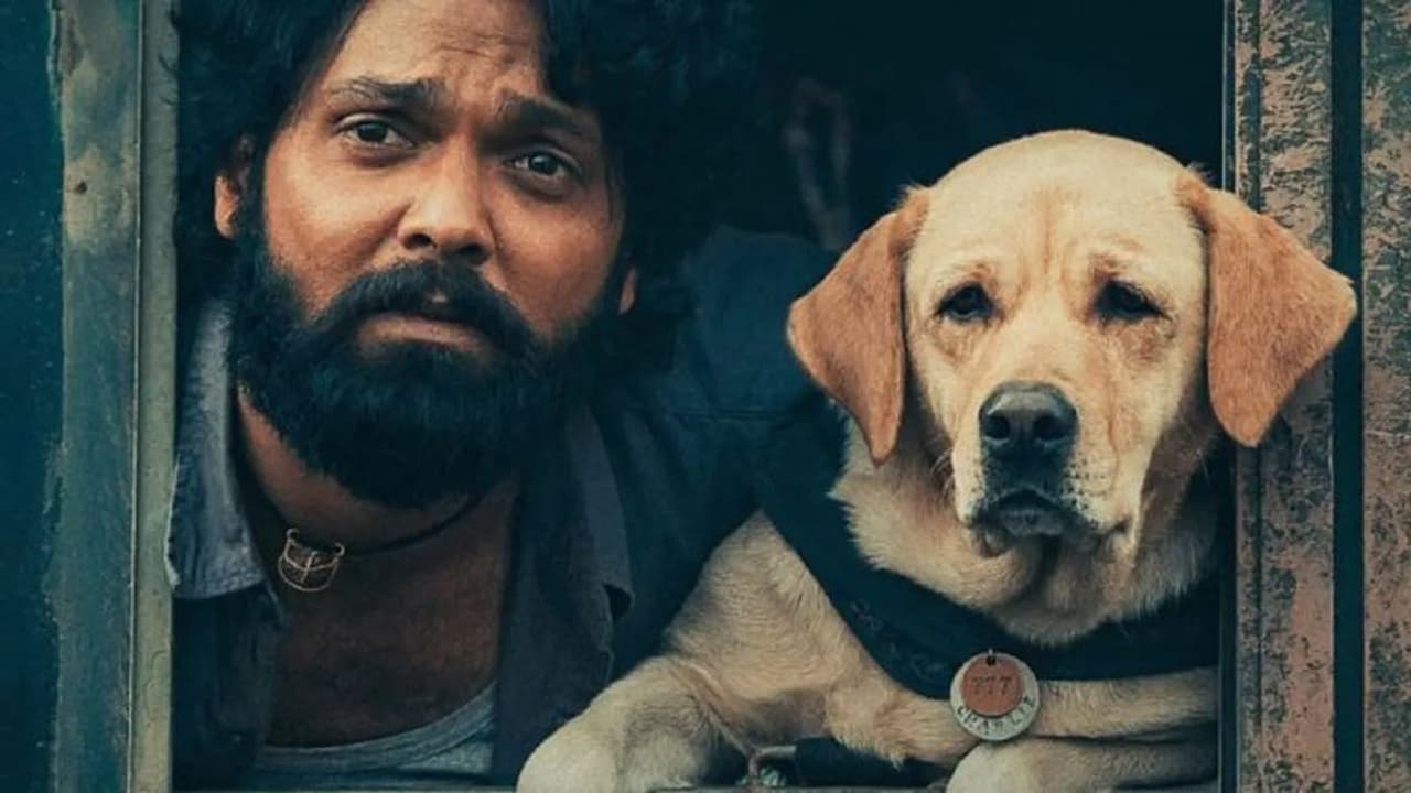 National Film Awards: 777 ಚಾರ್ಲಿಗೆ ಅತ್ಯುತ್ತಮ ರಾಷ್ಟ್ರೀಯ ಪ್ರಶಸ್ತಿ, ಇಲ್ಲಿದೆ ನೋಡಿ ವಿಜೇತರ ಲಿಸ್ಟ್‌