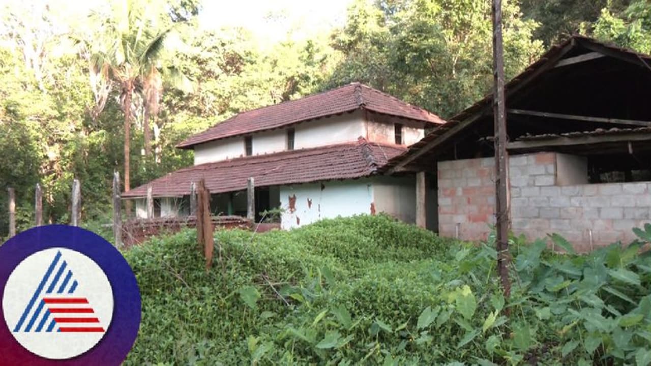 ಹಳದಿ ರೋಗಕ್ಕೆ ಊರು ಬಿಟ್ಟ ಮಲೆನಾಡ ರೈತರು; ಗ್ರಾಮಗಳಲ್ಲೀಗ ಸ್ಮಶಾನ ಮೌನ! 