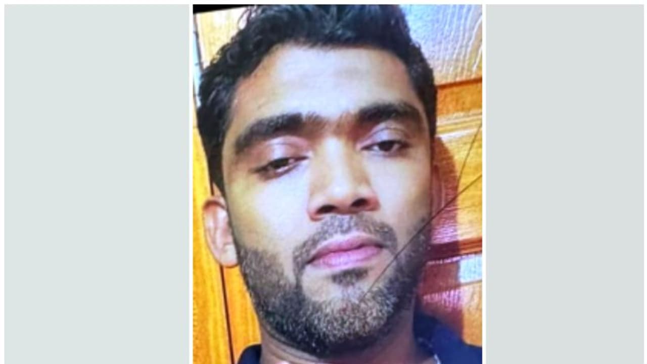 വാനും ട്രെയിലറും കൂട്ടിയിടിച്ച് പ്രവാസി മലയാളി യുവാവ് മരിച്ചു വാനും ട്രെയിലറും കൂട്ടിയിടിച്ച് പ്രവാസി മലയാളി യുവാവ് മരിച്ചു