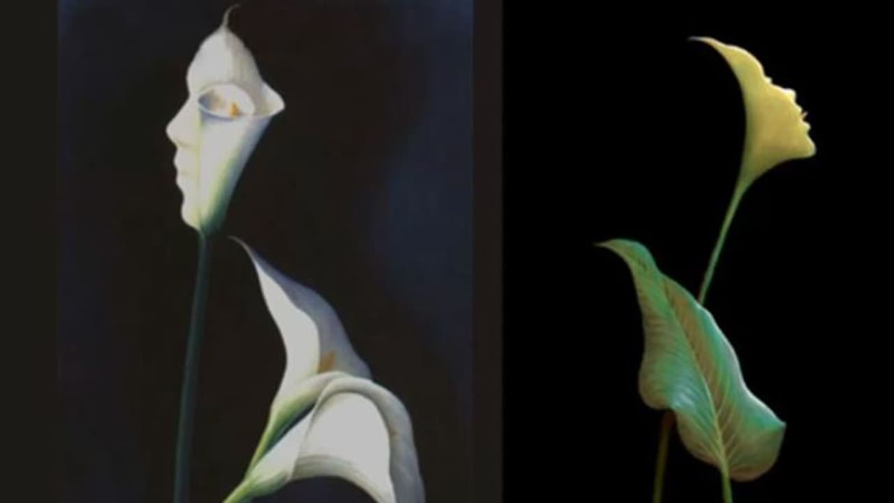 Optical Illusion: ನೀವ್‌ ತುಂಬಾ ಸೆನ್ಸಿಟೀವಾ ಅಥವಾ ಸ್ಟ್ರಾಂಗ್ ವ್ಯಕ್ತೀನಾ? ಫೋಟೋ ನೋಡಿ ತಿಳ್ಕೊಳ್ಳಿ