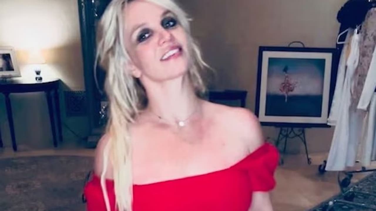 Newly single Britney Spears faces flak from PETA for buying new puppy post divorce