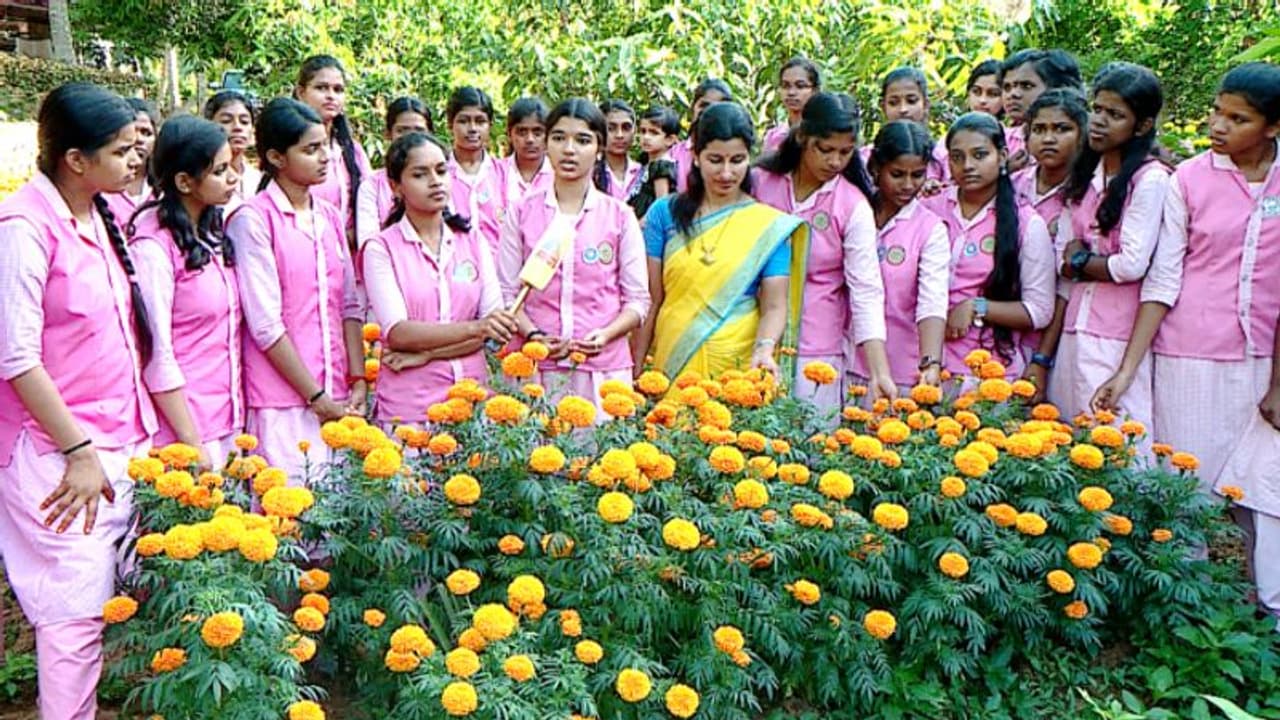 പാഠ്യേതര പ്രവർത്തനമായി, ഓണത്തിന് ഒരു വട്ടിപൂവ്, പണം കാരുണ്യ പ്രവർത്തനങ്ങൾക്കുള്ള കരുതല് പാഠ്യേതര പ്രവർത്തനമായി, ഓണത്തിന് ഒരു വട്ടിപൂവ്, പണം കാരുണ്യ പ്രവർത്തനങ്ങൾക്കുള്ള കരുതല്