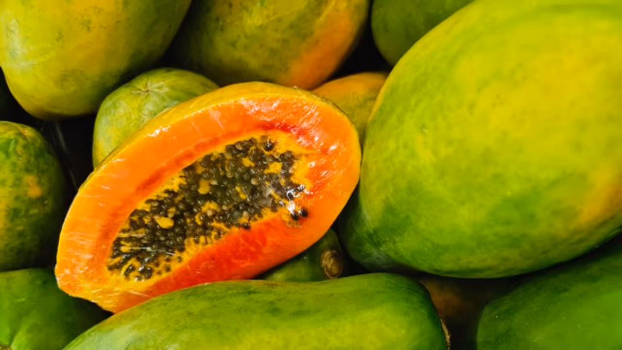 പപ്പായ കഴിച്ചാല് വണ്ണം കൂടുമോ അതോ കുറയുമോ? പപ്പായ കഴിച്ചാല് വണ്ണം കൂടുമോ അതോ കുറയുമോ?