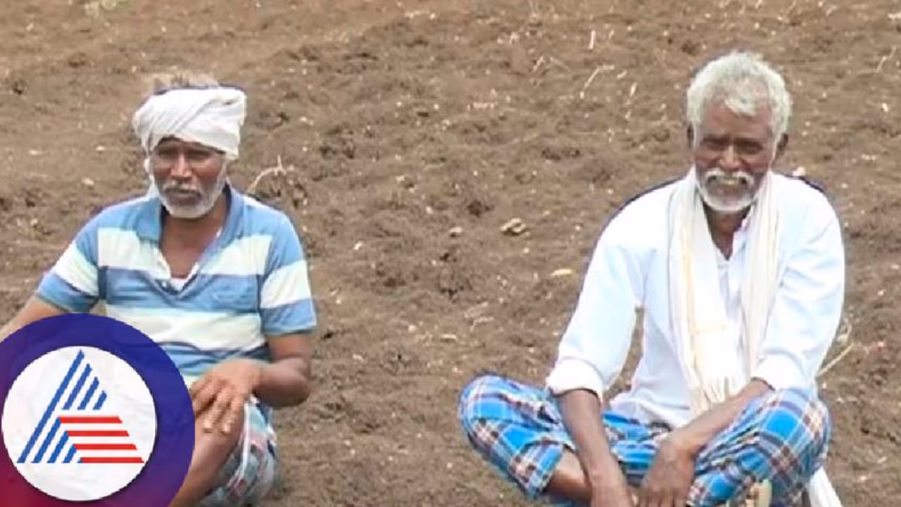 ಕೋಟೆನಾಡು ಚಿತ್ರದುರ್ಗದಲ್ಲಿ ಕೈಕೊಟ್ಟ ಮಳೆ, ಬರಪೀಡಿತ ಜಿಲ್ಲೆ ಘೋಷಣೆಗೆ ರೈತರ ಆಗ್ರಹ 