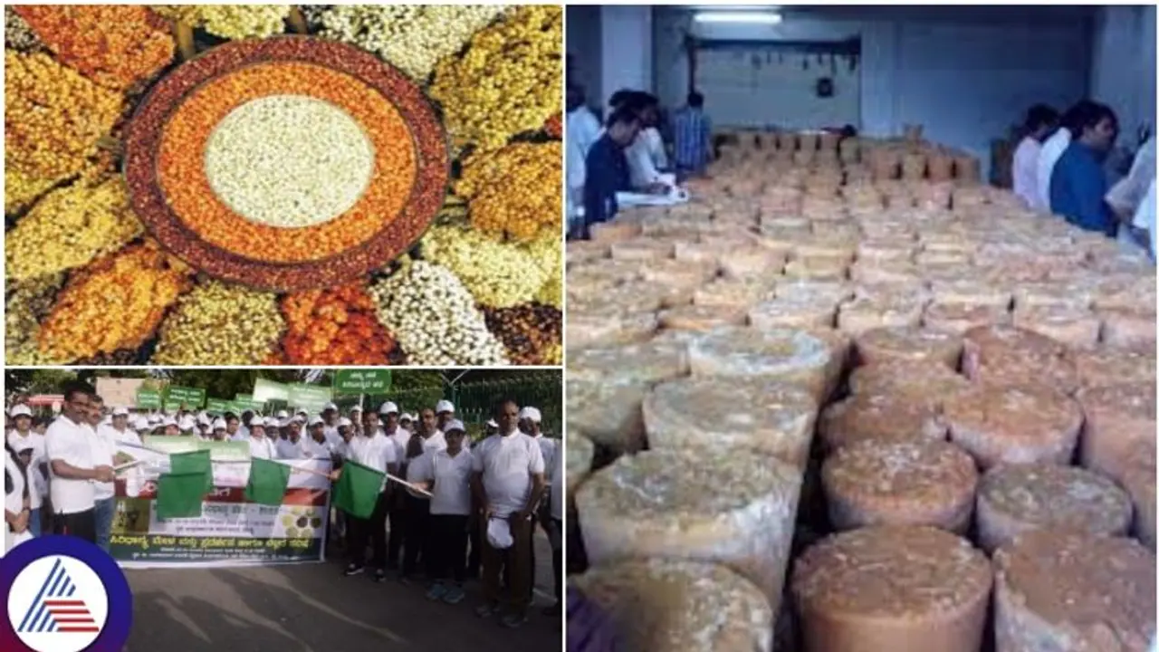 ಮಂಡ್ಯದಲ್ಲಿ ರಾಜ್ಯಮಟ್ಟದ ಸಿರಿಧಾನ್ಯ ಮೇಳ: ಬೆಲ್ಲದ ಪರಿಷೆ ವಿಶೇಷತೆ ಇಲ್ಲಿದೆ ನೋಡಿ..