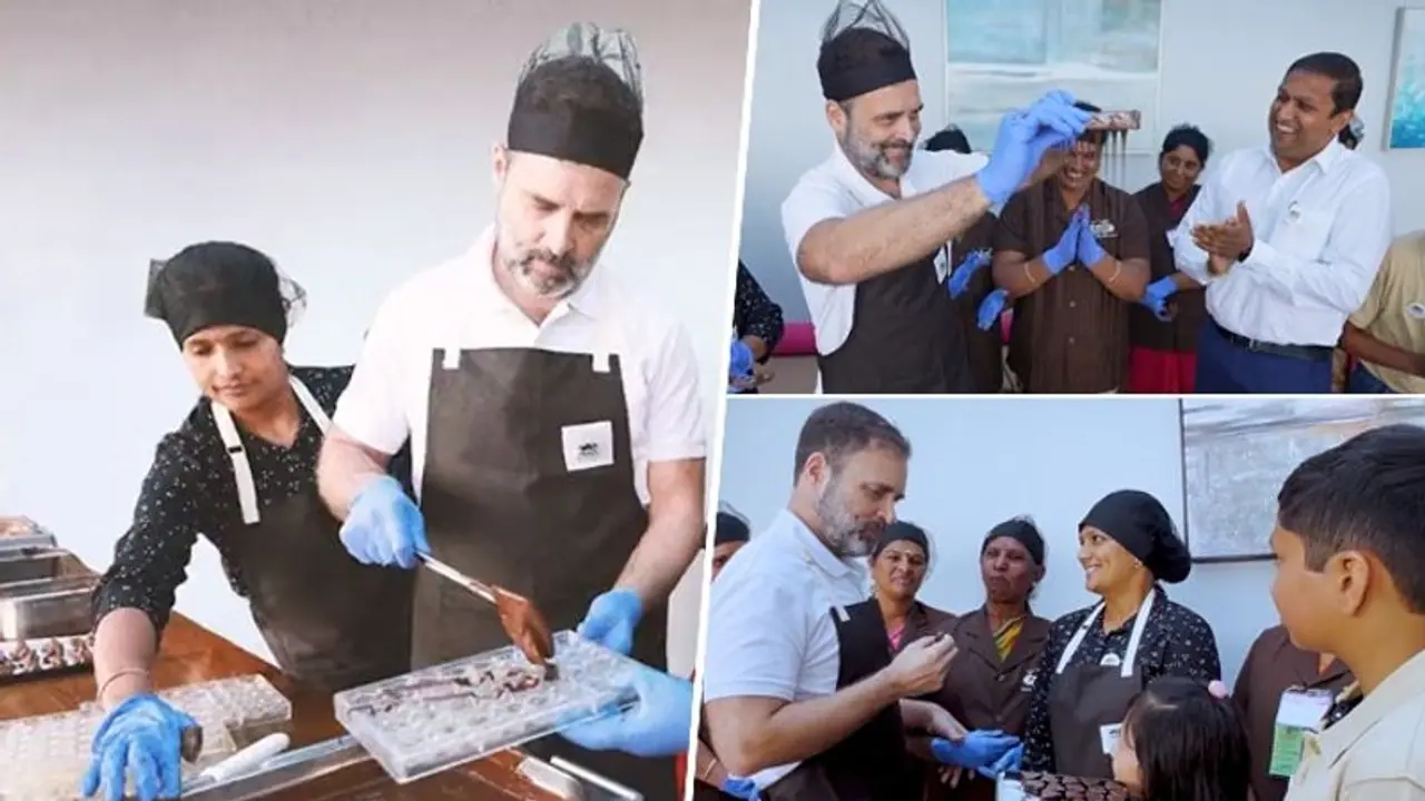 Congress leader Rahul Gandhi makes chocolates in Tamil Nadu's Ooty, learns Tamil | WATCH Congress leader Rahul Gandhi makes chocolates in Tamil Nadu's Ooty, learns Tamil | WATCH