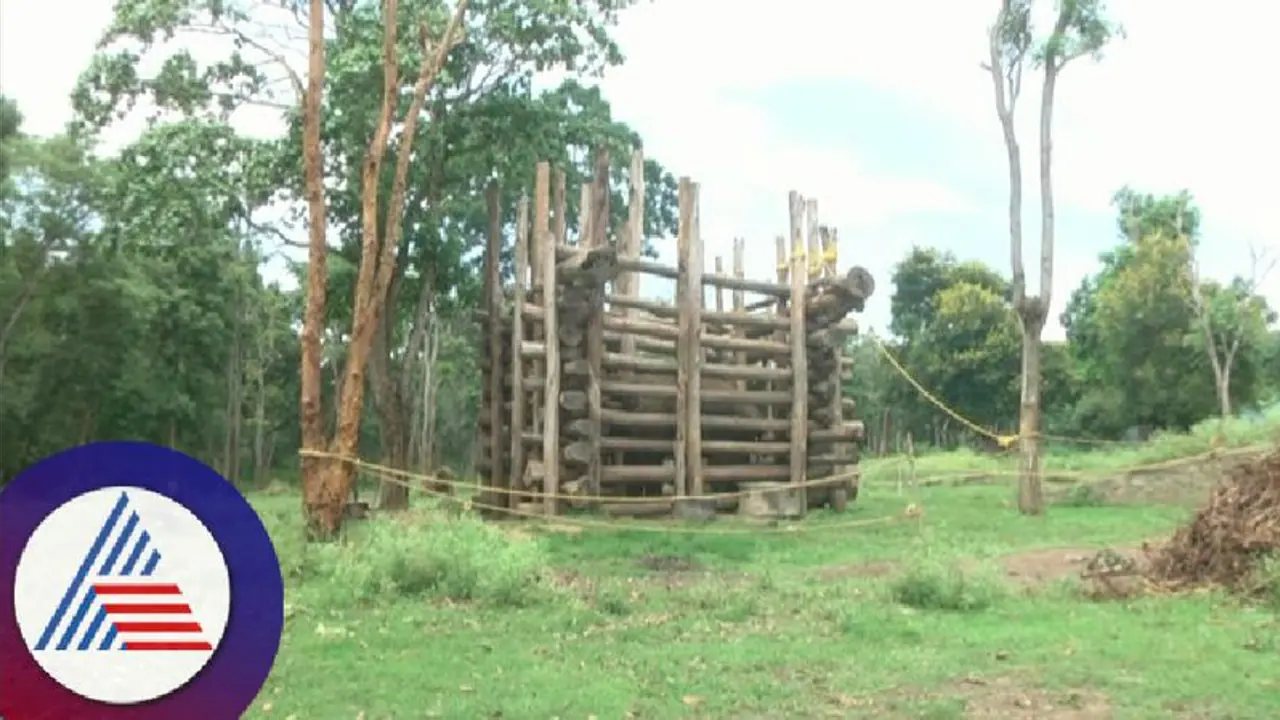 ಮನೆ ಅಂಗಡಿಗಳಿಗೆ ನುಗ್ಗಿ ಬೆಲ್ಲ, ಬಾಳೆಹಣ್ಣು ಲೂಟಿ; ಕೊನೆಗೂ ಖೆಡ್ಡಾಕ್ಕೆ ಬಿದ್ದ ಟ್ರೈ ಜಂಕ್ಷನ್ ಕಿಂಗ್ 